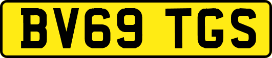 BV69TGS