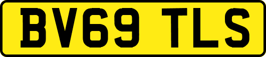BV69TLS