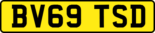 BV69TSD