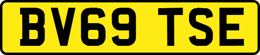 BV69TSE