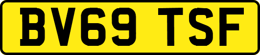 BV69TSF