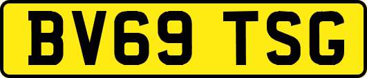 BV69TSG