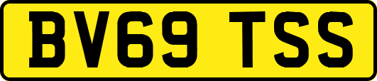 BV69TSS