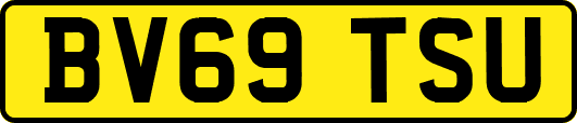 BV69TSU