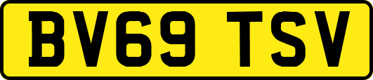 BV69TSV