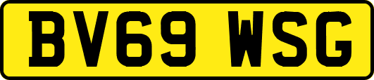 BV69WSG