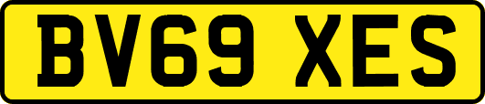 BV69XES