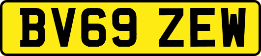BV69ZEW