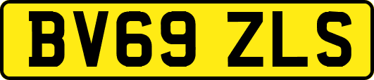 BV69ZLS