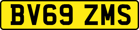 BV69ZMS
