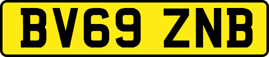 BV69ZNB