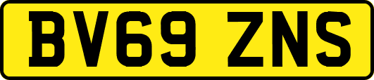 BV69ZNS