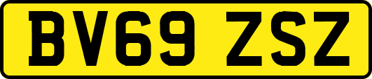 BV69ZSZ