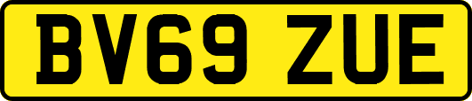 BV69ZUE