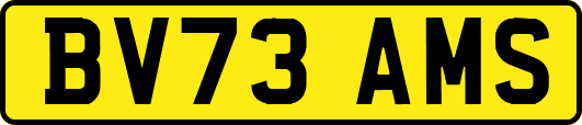 BV73AMS