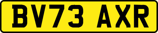 BV73AXR