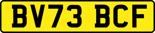 BV73BCF
