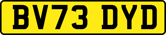 BV73DYD