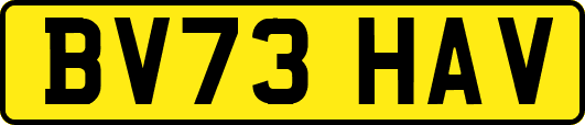 BV73HAV