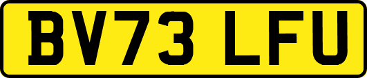 BV73LFU