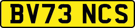 BV73NCS