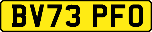 BV73PFO