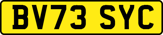 BV73SYC