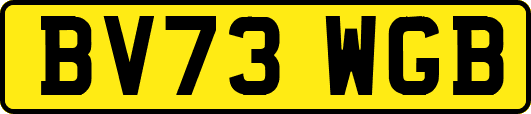 BV73WGB