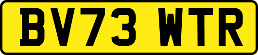 BV73WTR