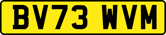 BV73WVM