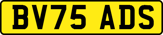 BV75ADS