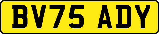 BV75ADY