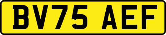 BV75AEF