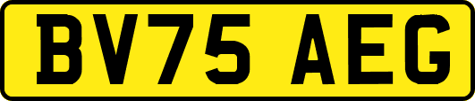 BV75AEG