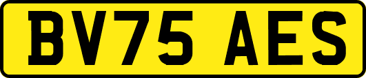 BV75AES