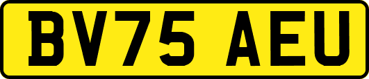 BV75AEU