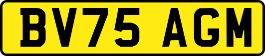 BV75AGM