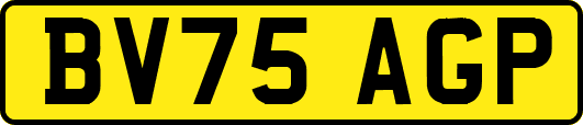 BV75AGP