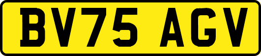 BV75AGV