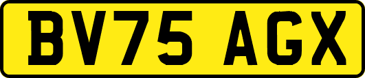 BV75AGX