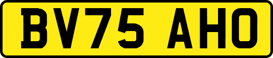 BV75AHO