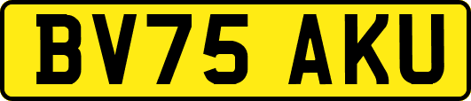 BV75AKU