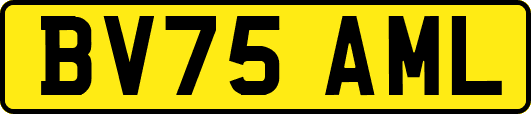 BV75AML
