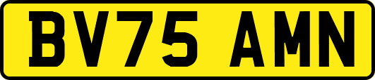 BV75AMN
