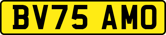 BV75AMO