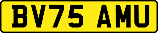 BV75AMU