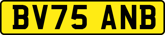 BV75ANB