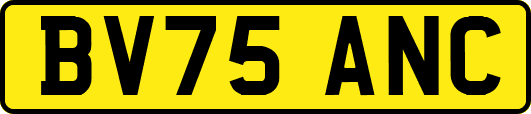 BV75ANC