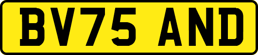 BV75AND
