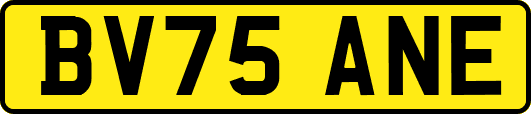 BV75ANE